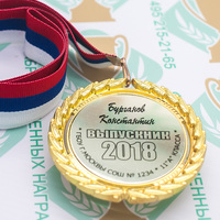 Медаль выпускника 9-11 класса Premium (артикул 74379625)